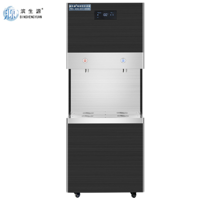 滨生源商用开水器五级过滤黑钛不锈钢材质BSY-60BK-RO(台)