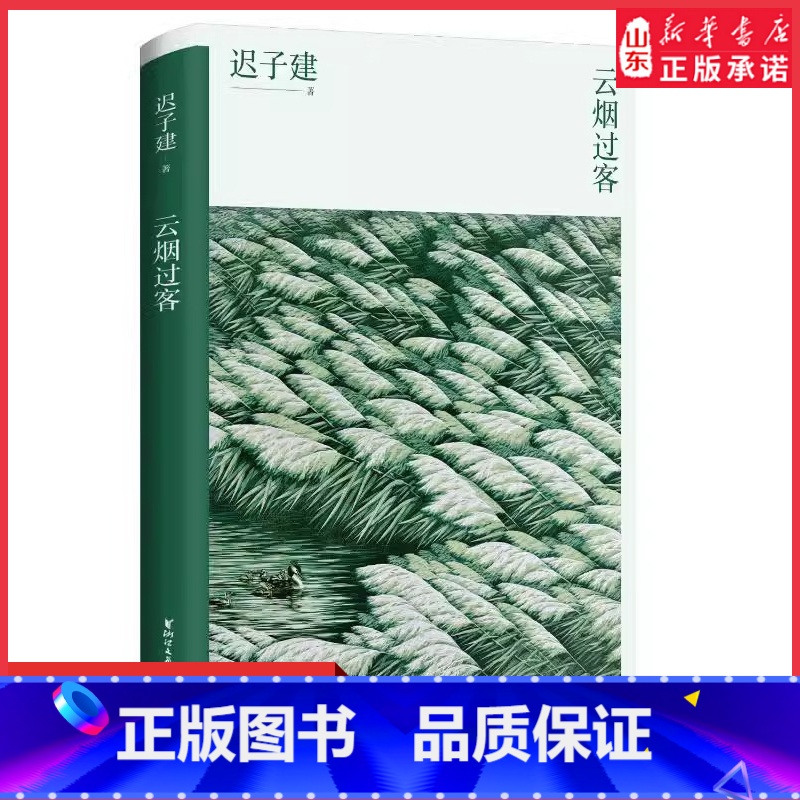 [正版]云烟过客茅盾文学奖得主迟子建著讲述北极村的成长经历分享作家圈的轶事趣闻中国现当代文学作品97875339666