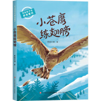 写给孩子的品格童话:小苍鹰练翅膀