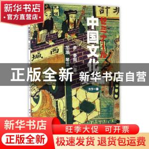正版 中国文化:文学 王岳川主编 五洲传播出版社 9787508535562