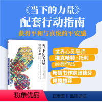 [正版]当下的力量实践手册(白金版) 埃克哈特 托利 著 出版社图书
