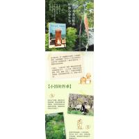 明天也是小春日和