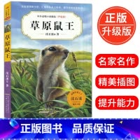 [正版]草原鼠王(升级版) 中外动物小说精品初中三四五六年级小学生课外必读书籍10-12-15岁少儿童阅读物图书狼王梦