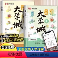 [全5册学霸大学城+高效学习 全国 通用 [正版]学霸大学城上下2024书籍成为学霸从大学选起走进大学城百所名校解析介绍