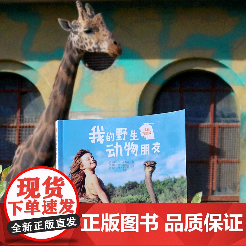 我的野生动物朋友 7-10岁 蒂皮·德格雷 著 科普百科