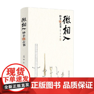 微相入 妙手修古书 王岚 著 历史