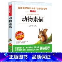 无障碍精读版-动物素描 [正版]无障碍精读版-动物素描