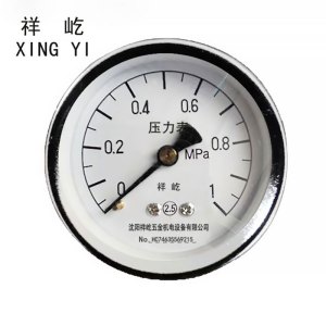 祥屹 压力表轴向检测定制型 Y40Z 块