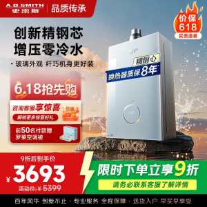 AO史密斯佳尼特[小精钢TJS5]16升增压零冷水燃气热水器 国家补贴 JSQ31-TJS5 安全守护 持久恒温