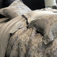 秋冬系120S新疆长绒棉四件套级细腻柔感美式印花全棉被套