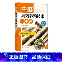 [正版]中蜂高效养殖技术一本通 中蜂高效养殖技术大全实用养蜂技术养中华蜂大全书籍 养蜂书中华蜂土蜂中蜂饲养新技术 蜜蜂