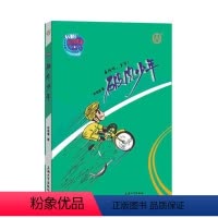 [120页]破风少年 [正版]破风少年许诺晨校园竞赛风云系列fb 乘风吧少年 诺米姐姐 上海大学出版社 小学生三四五六年