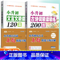老师推荐[小升初全套4本] 小学升初中 [正版]68所小升初古诗词精读精练200首文言文精读精练120篇三四5五6六年级