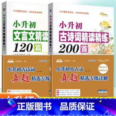 老师推荐[小升初全套4本] 小学升初中 [正版]68所小升初古诗词精读精练200首文言文精读精练120篇三四5五6六年级