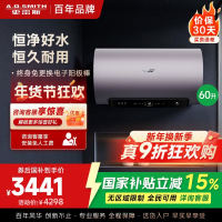 AO史密斯60升电热水器 国家补贴 金圭内胆 双棒分离速热 免换镁棒 免清洗短款 E60ED8-B