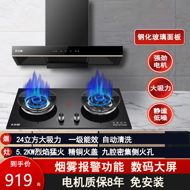 志高(CHIGO)F810+F216A 欧式直吸抽油烟机燃气灶套餐 双灶眼 电机免费终身换新(液化气)