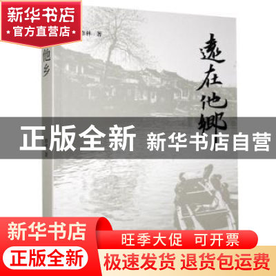 正版 远在他乡 修林 江苏凤凰文艺出版社 9787559440228 书籍