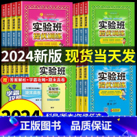 [套装]语数英3本●全国人教 三年级上 [正版]2024秋新版实验班提优训练三年级上册二年级上册一四年级五六年级语文人教