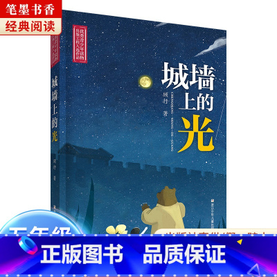 《城墙上的光》-浙江少年儿童出版社 [正版]阅美湖湘笔墨书香经典阅读六年级逆风飞翔中国轨道号追寻少年与海雨季的阳光半条棉