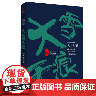 陆天明当代作品精选:大雪无痕