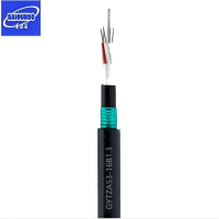 赛欧诺 室外光缆 GYTZA53-16B1.3 米