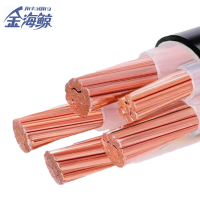 金海鲸 低烟无卤电力电缆WDZYJY3×10+1 米