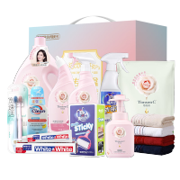 阿道夫蒂姆森家庭清洁 11件套-DMS250818003