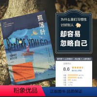 [正版]抓落叶 2024版 心理治愈 小说 摆渡人 类型小说 我们都是生命的旅人 抵达终点就是人生的意义 外国文学