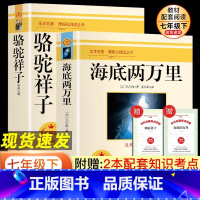 [全7册]朝花夕拾+西游记上下+白洋淀+猎人+湘行+镜花缘 [正版]海底两万里骆驼祥子人教版七年级下册课外阅读书人民教育