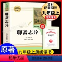[单本]聊斋志异--人民教育出版社 [正版]水浒传上下册全册初中生原著语文书阅读书籍人民教育出版社九年级上册语文人教版初