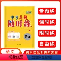 中考真题随时练 语文 初中通用 [正版]2024中考真题随时练语文数学英语物理化学初三总复习练习初中活页试卷模拟总复习资