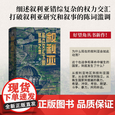 叙利亚(权力交汇下的破碎之地)(精)