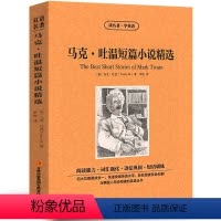[中英互译]马克吐温短篇小说精选 [正版]中英双语金银岛书中英文双语名著读物英汉对照互译小说 斯蒂文森原著 读名著学英语