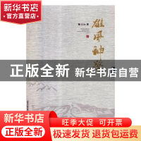 正版 雄风神警 陈文山著 哈尔滨工业大学出版社 9787537857222 书