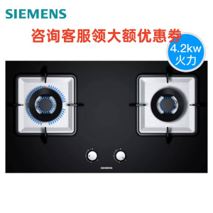西门子ER7EA23JMP 燃气灶嵌入式高端双灶 天然气灶具 大火力 天然气蒸饭柜