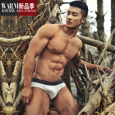 潮牌夏天薄款透气男士运动性感青年高弹棉三角内裤骚SHANCHAO