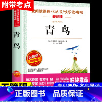 青鸟 [正版]青鸟 儿童文学读物小学生三四五六年级课外阅读书籍青少年儿童名著故事书四年级课外书必小说读6-10-12岁三
