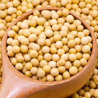 五谷杂粮组合粗粮组合黑米黑豆糙米早餐粥小米燕麦米拍3发4-黄豆430g真空装