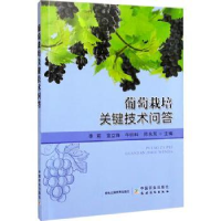 音像葡萄栽培关键技术问答李莉,宣立锋,牛帅科,师永东