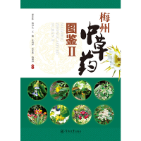 音像梅州草图鉴.Ⅱ廖富林、杨期和、杨和生、牟利辉、蓝木香