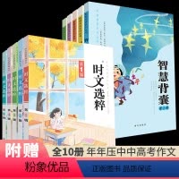 [大字/音频版][共10本]2023版 时文选粹+智慧第 1-5辑 [正版]大字版音频版2023版时文选粹1-5辑+20