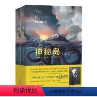 神秘岛(上下册) [正版]神秘岛全套2册上下 儒勒凡尔纳科幻小说中文版荒岛求生 中小学生名著外国小说书排行榜青少年经