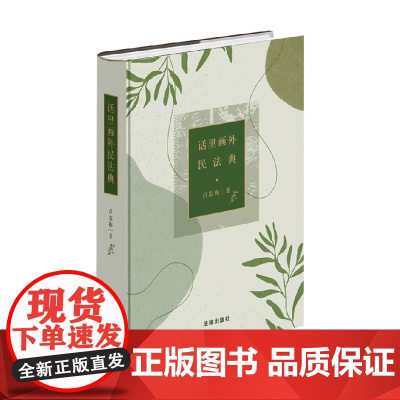 话里画外民法典 吕忠梅 著 法律