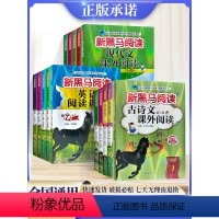 现代文课外阅读(1-6年级) 小学通用 [正版]2024新黑马阅读一年级二年级三四五六年级下册上册阅读理解训练英语语文现