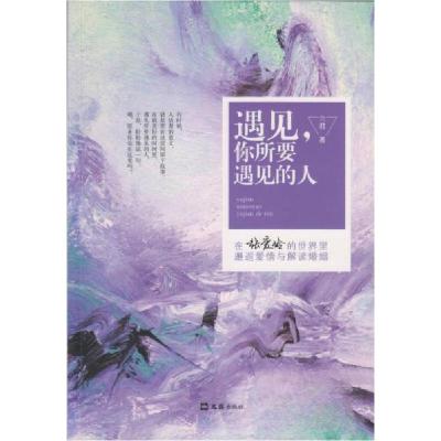 正版新书]遇见,你所要遇见的人兰君 著9787549621705
