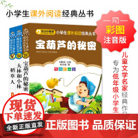 宝葫芦的秘密+大林和小林+稻草人(全3册)小学生课外阅读经典 一二年级小学生课外阅读经典丛书 小书虫阅读系列