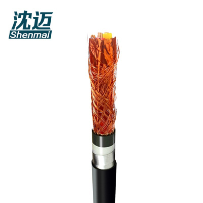 沈迈 铜芯铠装计算机电缆 ZR-DJYPVP22-1*2*1.5mm² 1米