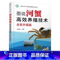 [正版]图说河蟹高效养殖技术(全彩升级版) 书籍