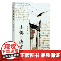 小镇法官 基层法官的坚守与柔情 贺享雍 四川文艺出版社正版图书