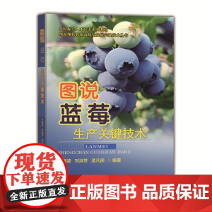 图说蓝莓生产关键技术 于强波 刘淑芳 孟凡丽主编 中国农业大学出版社店9787565527722正版